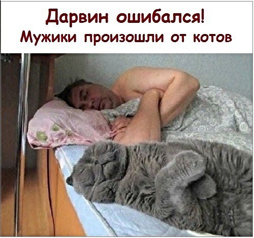 Дарвин ошибался МУЖИКИ ПРОИЗОШЛИ ОТ КОТОВ