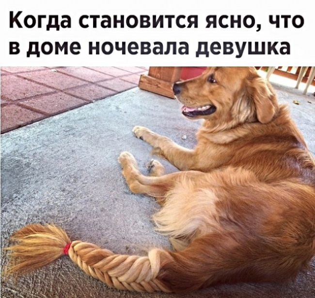 Когда СТаНОВИТСЯ ЯСНО ЧТО В доме ночевала девушка __ _ тііпчткчА