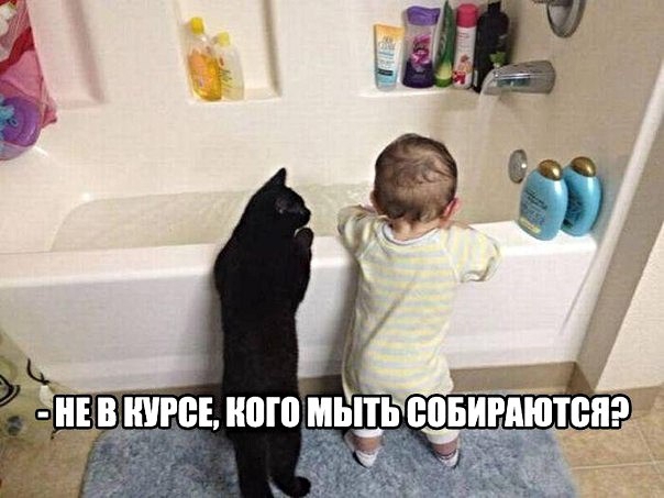 ЕВШЕВЕШЫЪЦ_ВВБРПШ д7