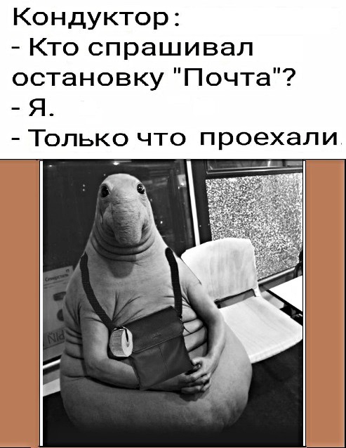 Кондуктор Кто спрашивал остановку Почта Я Только что проехали
