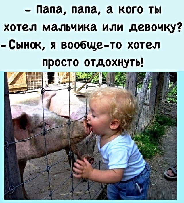 папа папа а кого ты хотел мальчика или девочку Сынок я вообще то хотел просто отдохнуть