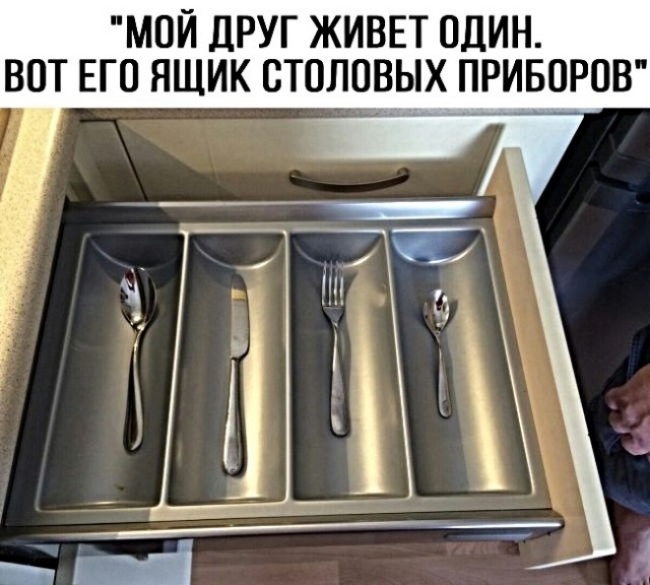 МОЙ ДРУГ ЖИВЕТ ОДИН ВОТ ЕГО ЯЩИК ВТОЛОВЫХ ПРИБОРОВ