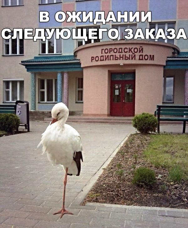ЦА В Фжшмнгши щвгаігЕЗАкЫЗА СЛЕДУЮ 1__ ____ городскрй роЦИПЬНЫИ ЛОМ