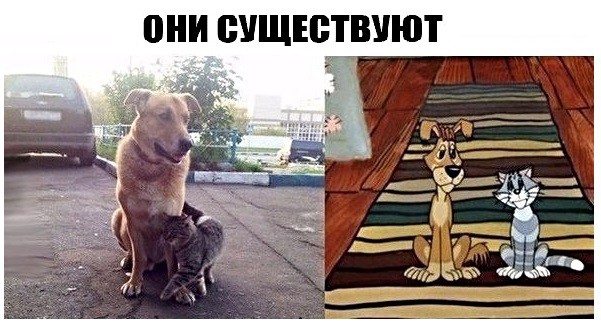 они ВУЩЕЁТВУЮТ