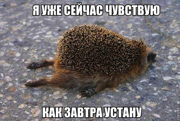 ШШЕЭЁЧЕБщ