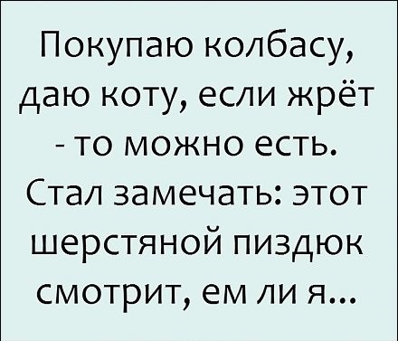 Покупаю колбасу даю коту если жрёт то можно есть Стал замечать этот шерстяной пиздюк смотрит ем ли я