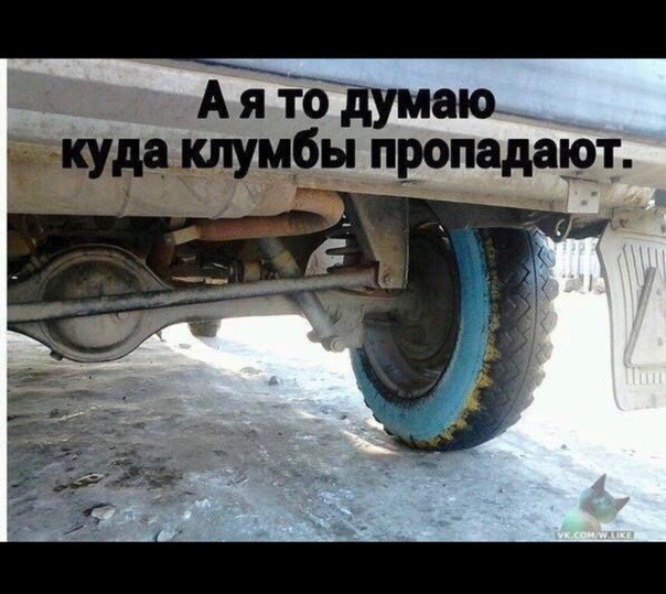 А я _ ёжддшмдіы пвопада