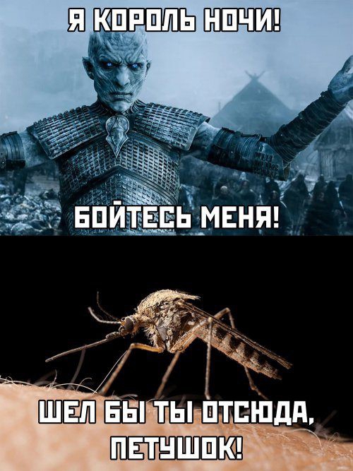 НШЧИ ПЕТНШШК