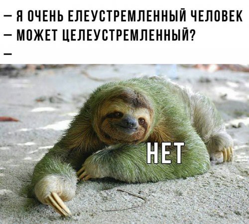 Я ПЧЕНЬ ЕЛЕУВТРЕМЛЕННЫЙ ЧЕЛОВЕК МОЖЕТ ЦЕЛЕУСТРЕМЛЕННЫЙ