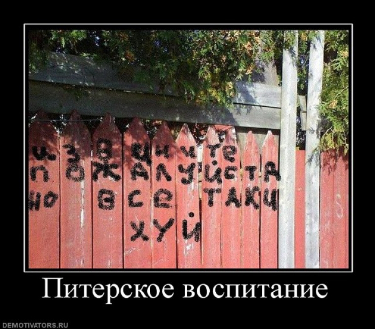 Питерское воспитание пвмотмтояэ ки