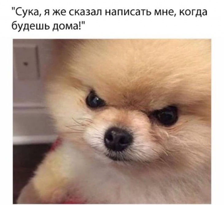 Сука я же сказал написать мне когда будешь дома