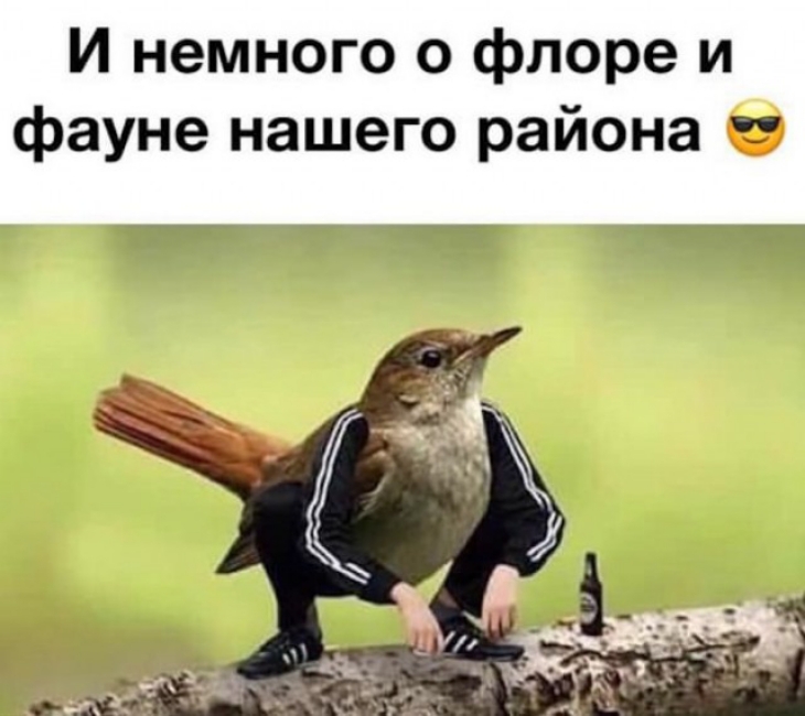 И немного о флоре и фауне нашего района