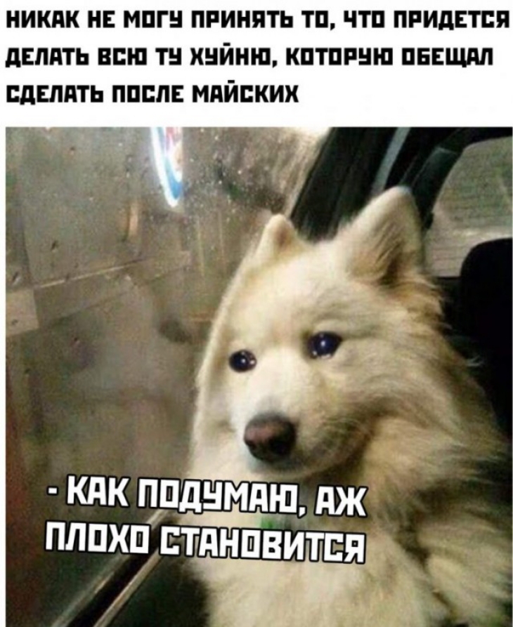 НИКПК НЕ МПГ ПРИНЯТЬ ТП ЧТП ПРИДЕТСЯ дЕПдТЬ ВПШ ТН ХНЙНП КПТПРШП ПБЕЩПП СДЕЛАТЬ ППППЕ МдЙПКИХ