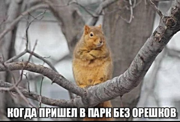 ИМЛИ ПРИШЕЛ В ПАРИ БЕЗ 0РЕШИ083