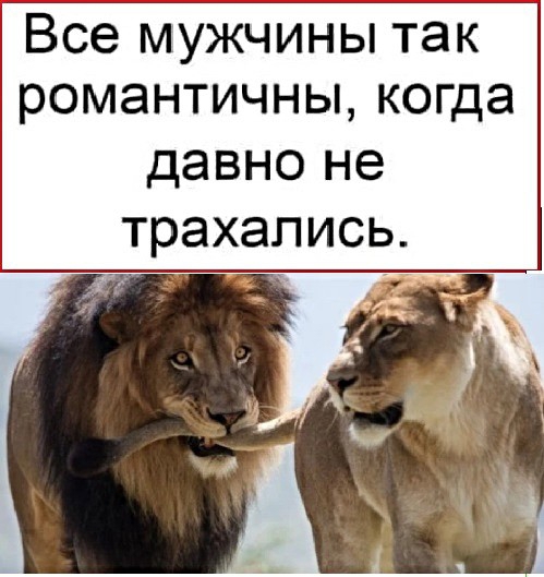 Все мужчины так романтичны когда давно не трахались