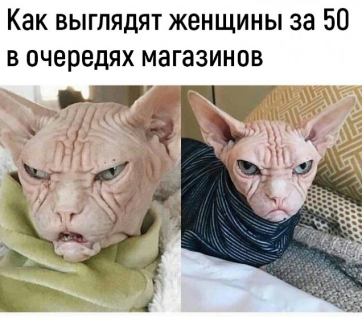 КНК ВЫГЛЯДЯТ ЖЕНЩИНЫ 38 50 В очередях МЗГЗЗИНОВ