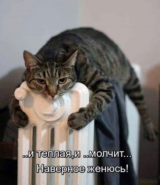 а тепла ям МОЛЧИТ