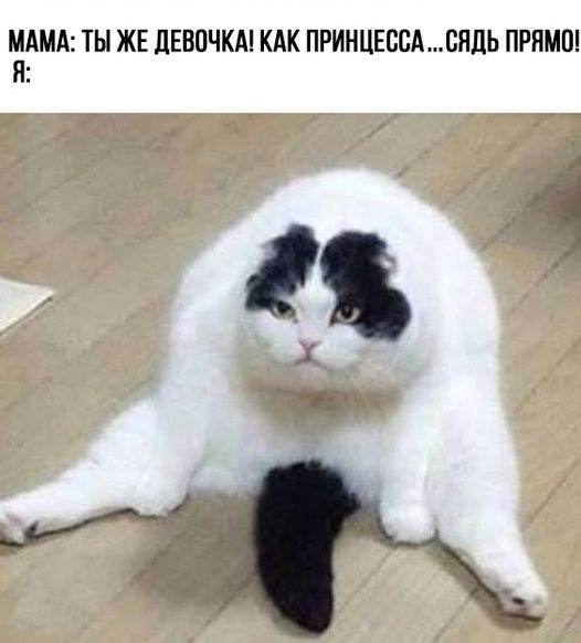 МАМА ТЫ ЖЕ дЕВПЧКА КАК ПРИНЦЕССАВЯЦЬ ПРЯМО Я И ь
