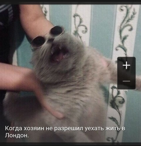 Когда хозяин н Лондон