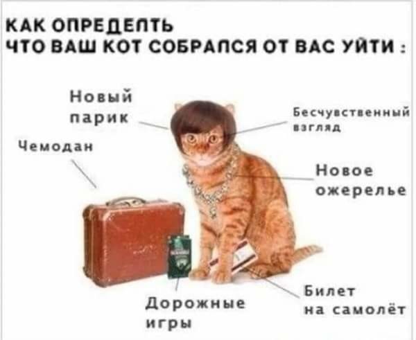 КАКОПРБДЕПТЬ ЧТО ВАШ КОТ СОБРАПСЯ ОТ ВАС УП Новий парик Бякчуктпииий _ гп Чекалин _ Новое ожерелье _Билет др пасаиопіт игры