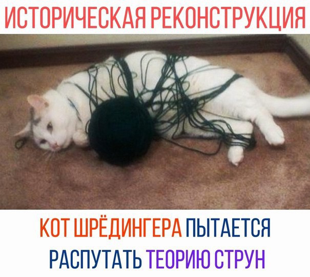 ИСТОРИЧЕСКАЯ РЕКОНСТРУКЦИЯ _б КОТ ШРЁДИНГЕРА ПЫТАЕТСЯ РАСПУТАТЬ