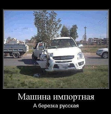 МЗШИНЗ ИМПОРТНЭЯ А березка русская