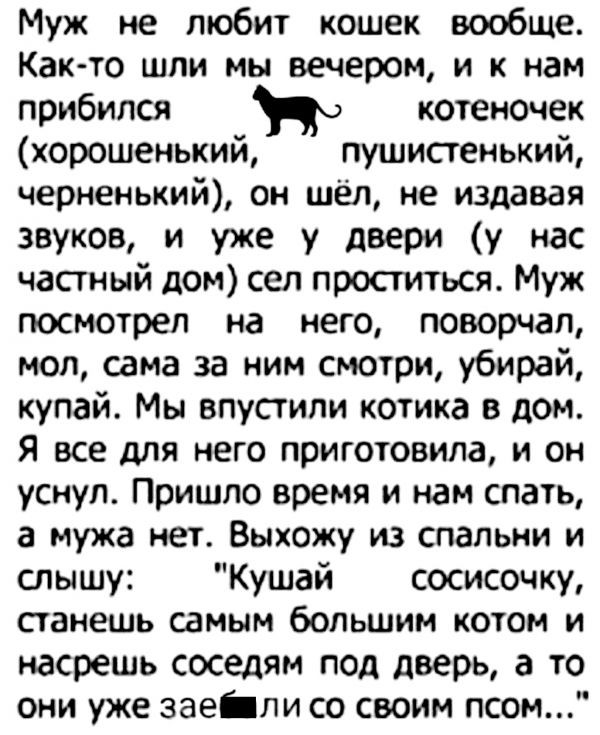 Муж не любит кошек вообще Както шли мы вечером и к нам прибился о котеночек хорошенький пушистенький черненький он шёл не издавая звуков и уже у двери у нас частный дом сел проститься Муж посмотрел на него поворчап мол сама за ним смотри убирай купай Мы впустили котика в дом Я все для него приготовила и он уснул Пришло время и нам спать а мужа нет Выхожу из спальни и слышу Кушай сосисочку станешь 