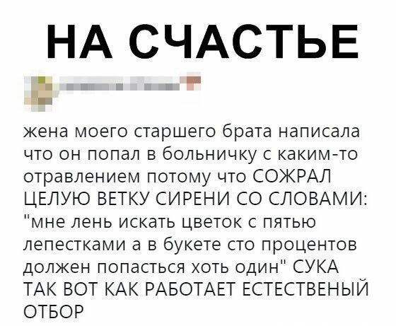 НА СЧАСТЬЕ жена моего старшего брата написала что он попал в больничку с какимто отравлением потому что СОЖРАЛ ЦЕЛУЮ ВЕТКУ СИРЕНИ СО СЛОВАМИ мне лень искать цветок с пятью лепестками а в букете сто процентов долкен попасться хоть один СУКА ТАК ВОТ КАК РАБОТАЕТ ЕСТЕСТВЕНЫЙ ОТБОР