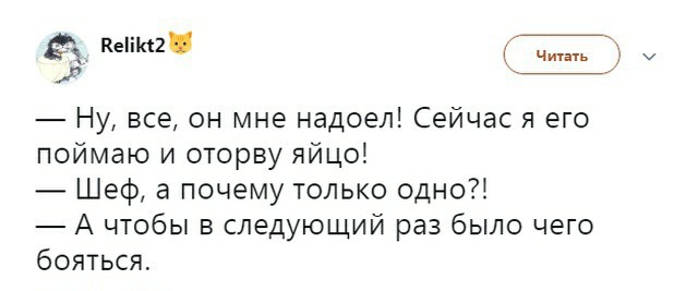 Кей о Ну все он мне надоел Сейчас я его поймаю и оторву яйцо Шеф а почему только одно А чтобы в следующий раз было чего бояться