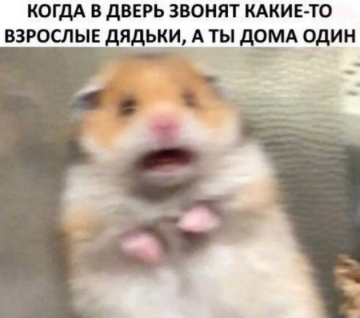 КОГДА В дВЕРЬ ЗВОНЯТ КАКИЕ ТО ВЗРОСЛЫЕ дЯДЬКИ А ТЫ дОМА ОДИН