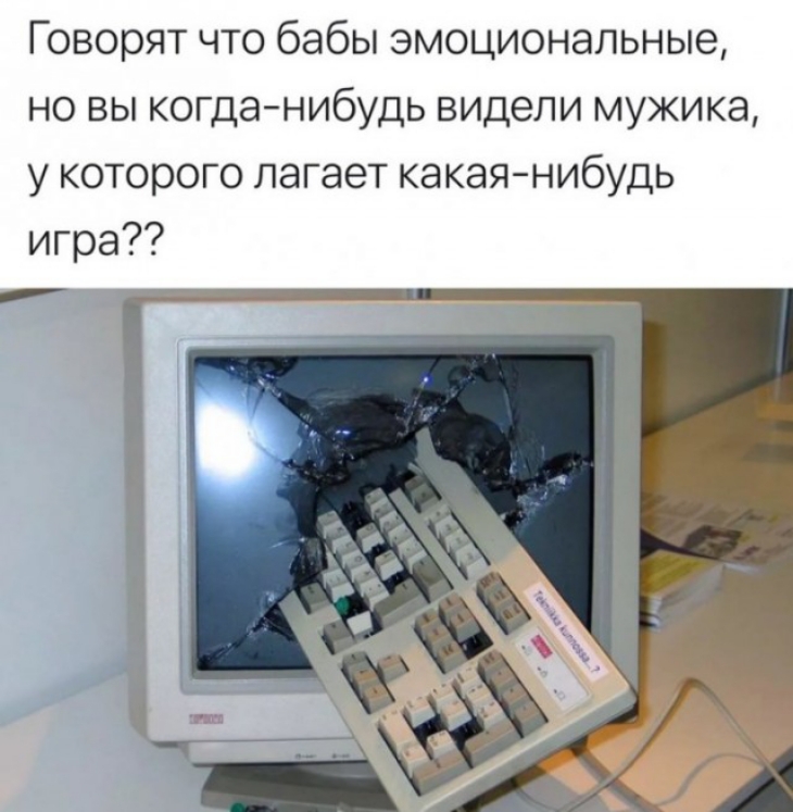 Говорят что бабы эмоциональные но вы когданибудь видели мужика у которого лагает какаянибудь игра