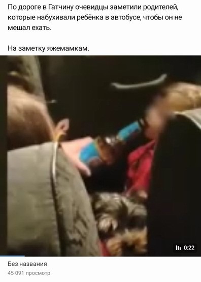 Подорсге в Гатчину очевидцы заметили родителей которые набухивапи ребенка в автобусе чтобы он не мешал ехать На заметку чжемамкам