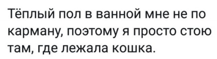 Тёплый пол в ванной мне не по карману поэтому я просто стою там где лежала кошка