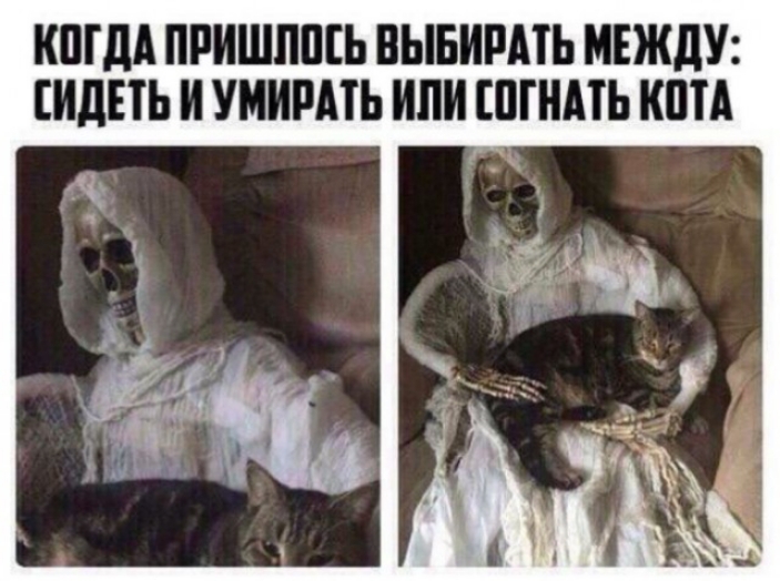 КШМ ПРИШШШ ВЫБИРАТЬ МЕЖДУ ИдЕТЬ И УМИРАТЬ ИЛИ ШГНМЬ КПЦ