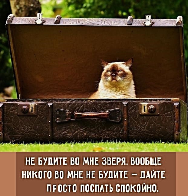 НЕ БУЦИТЕ Ы МНЕ ЗВЕРЯ ВООБЩЕ НИКПГО БП МНЕ НЕ БУПИТЕ ЛАИТЕ ПР ПБТП ППСПАТЪ БПБКПЙНО