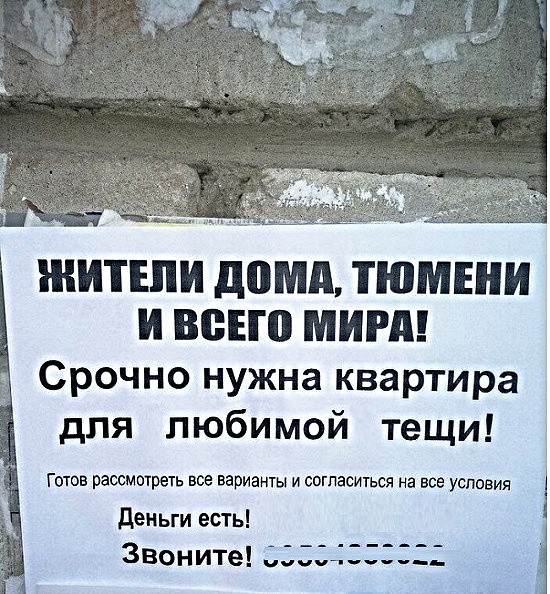 ЖИТЕЛИ домд ТЮМЕИИ И ВВЕЮ МИРА Срочно нужна квартира для любимой тещи ГОТОВ рассмотреть все варианты И ООГПЗСИТЬСЯ на все УСЛОВИЯ Деньги есть Звоните 5335433