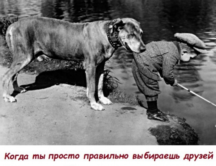 Когда ты просто празилыгэ выдирагшь друзей