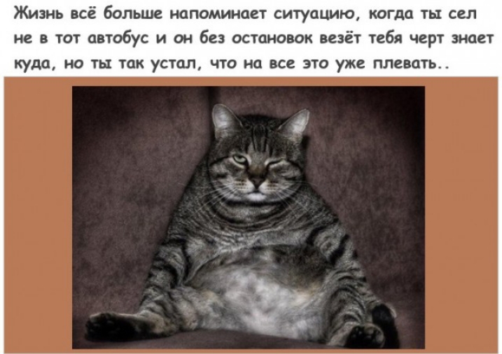 Жизнь всё больше напоминает ситуацию когда ты сел не в тот автобус и он без остановок везёт тебя черт знает куда НО ТЬ ТОК устал ЧТО на Все ЭТО уже ПЛВВОТЬ _