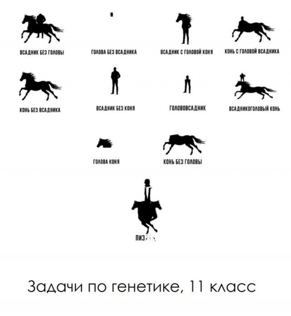 АМИК ЕП ГПАМЪ ПМП ЦЗ ЦИНКА ЕСЦ С ПММ кпия С ПММ ЦИИ КПМ БП ЦИНКА ЦИИ 3 КПП ШАППППЕАДИ НИИПМ ИБ ШМ КПИ июнь 3 ПМП ПИЗ Задачи по генетике косс