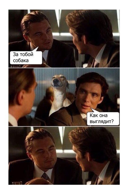 _ Как она выглядит7