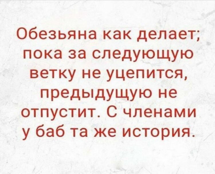 Обезьяна как делает пока за следующую ветку не уцепится предыдущую не отпустит С членами у баб та же история