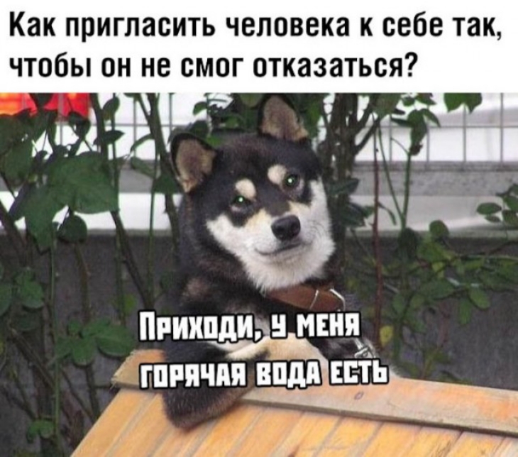 Как пригласить человека к себе так чтобы он не смог отказаться