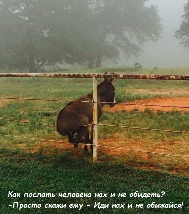 Как послать человека нах и не обидеть Просто сксжи ему Иди _нах и не обижайся