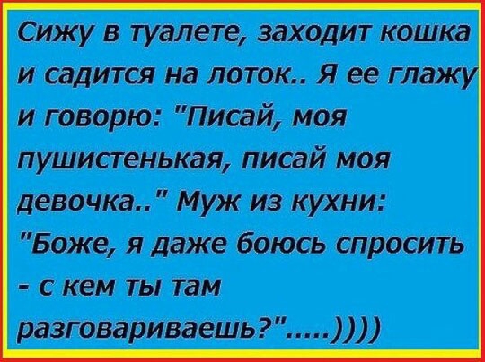 Сижу в туалете заходит кошка и садится на поток я ее та и гаварю Писай моя пушиаеиькая писай мон девочка Муж из кухни Боже я даже Боюсь спросить с кем ты там разговариваешь