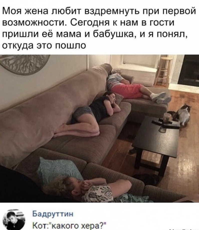 Моя жена любит вздремнуть при первой возможности Сегодня к нам в гости пришли её мама и бабушка и я понял откуда это пошпо Бадруттин Ко акого хе а