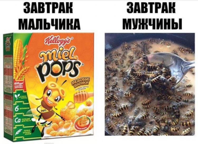 ЗАВТРАК ЗАВТРА МАЛЫШКА МУЖЧИНЫ