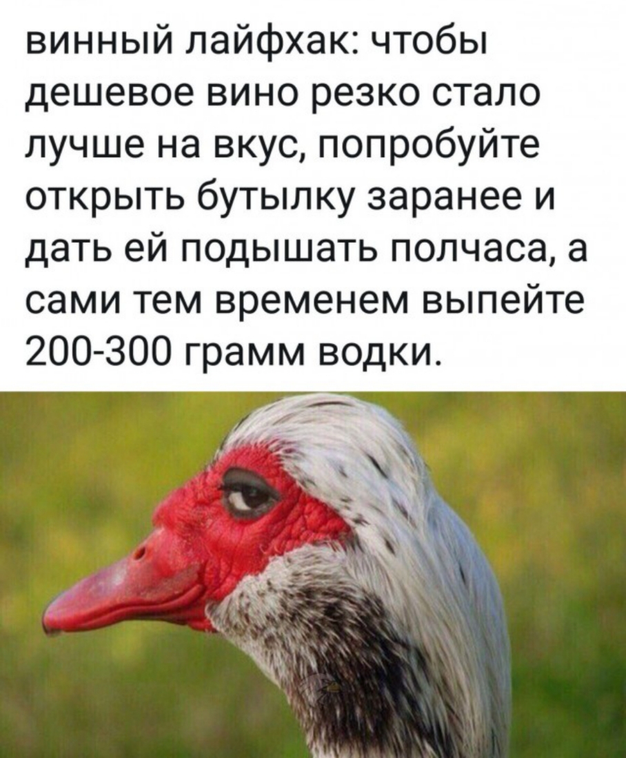 винный лайфхак чтобы дешевое вино резко стало лучше на вкус попробуйте открыть бутылку заранее и дать ей подышать полчаса а сами тем временем выпейте 200 300 грамм водки