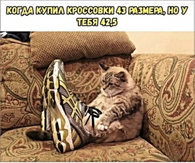 ТЕБЯ В с с с о Р к