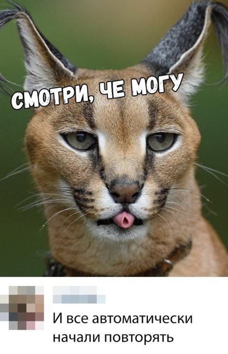 Ёжд иё я И все а втомати ЧЕСКИ начали ПОВТОРЯТЬ