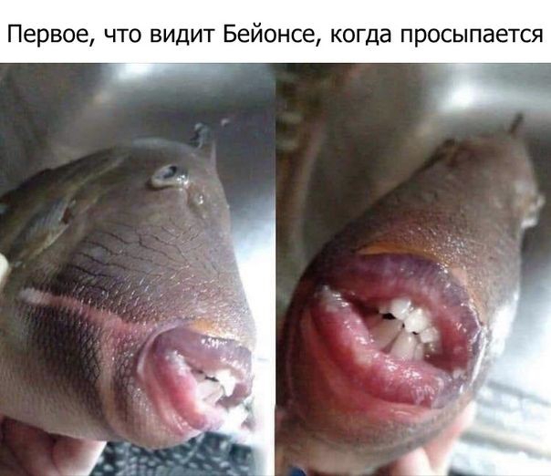 Первое что видит Бейонсе когда просыпается